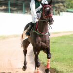 horse, horse race, jockey, horse racing, horsemen, nature, race horse